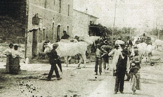 1903 Ponterio 2